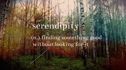 Serendipity.jpg2 - Copy