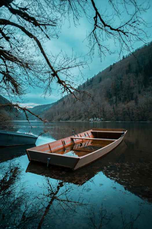 brown boat